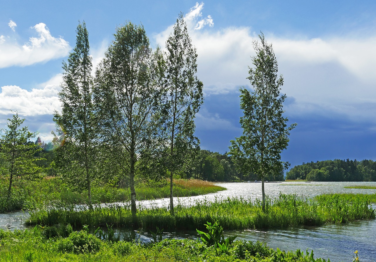 Schweden Lappland (1)