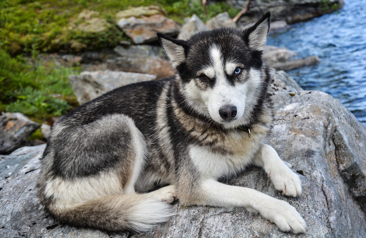 Schweden Lappland (4)