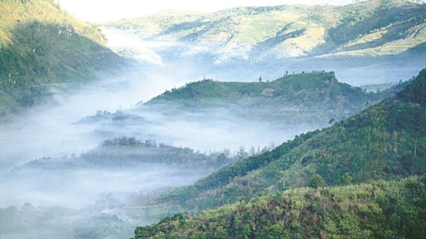 Nordthailand im Nebel Nordthailand im Nebel