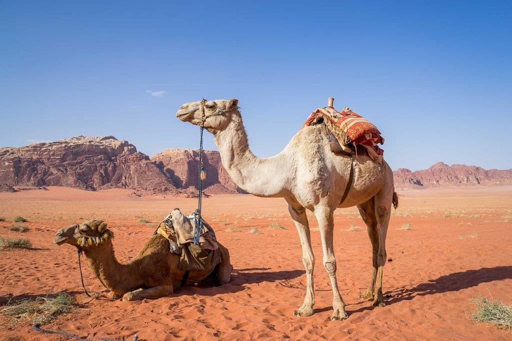 Jordanien (24)