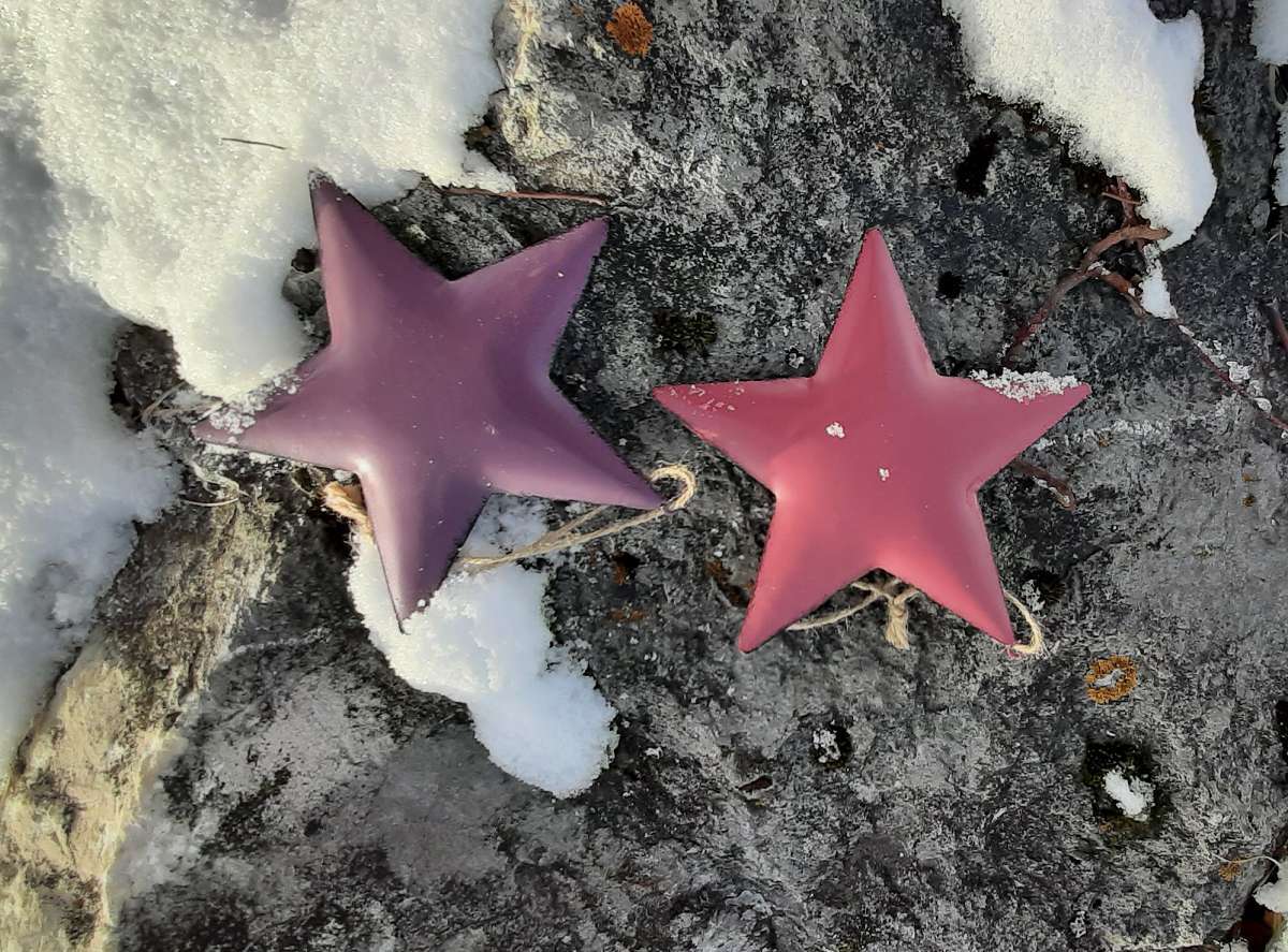 Stern im Schnee (1b)