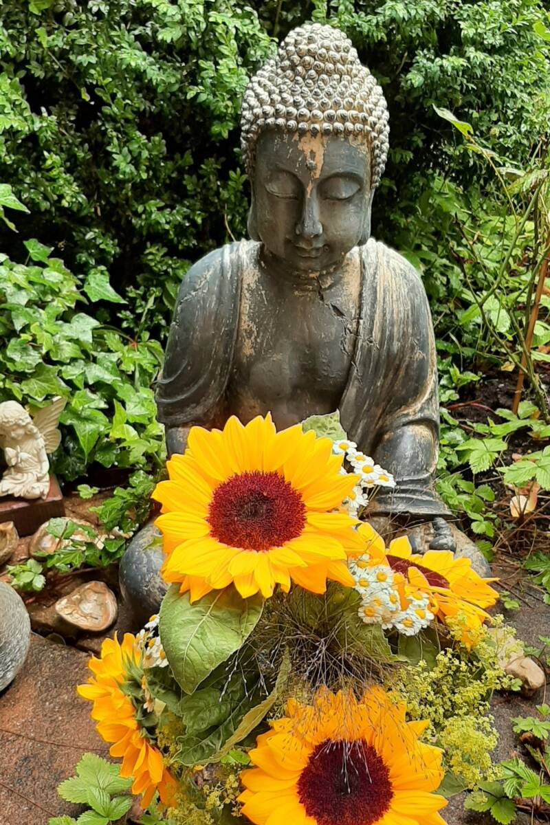 SommerbuddhaHP