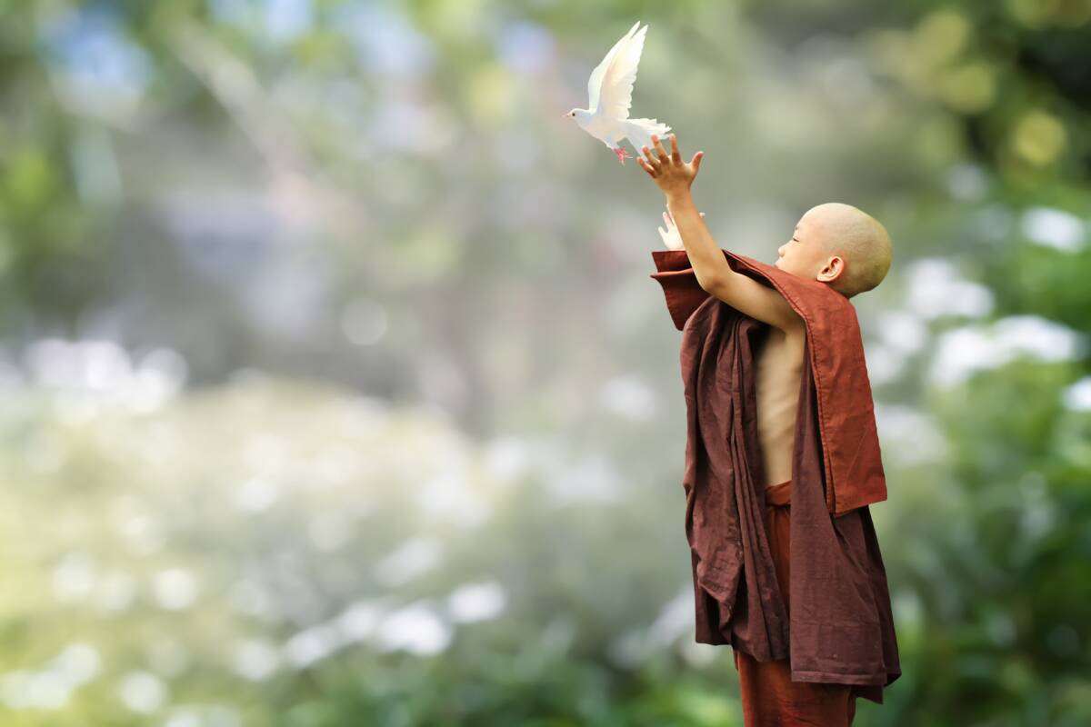 buddhist-g515edb90a_1920