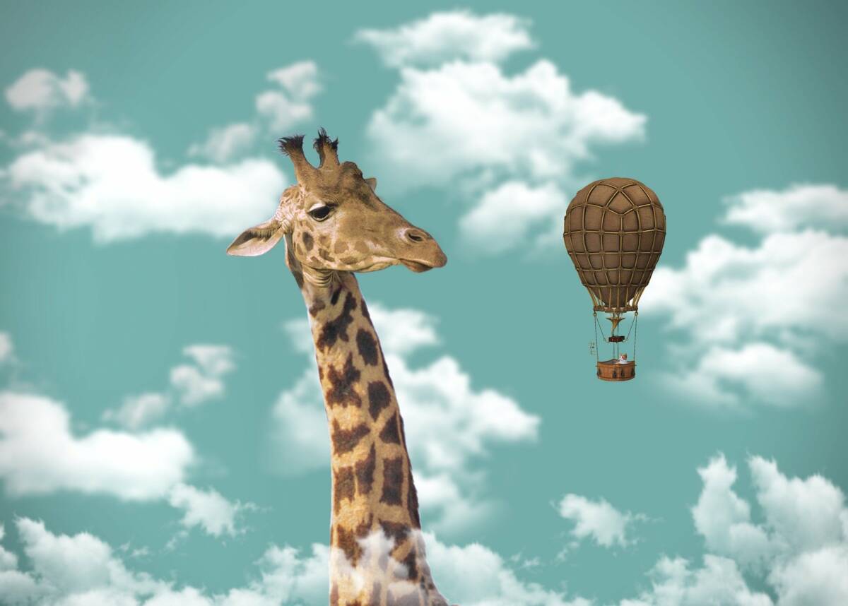 giraffe-g04405e0c3_1920