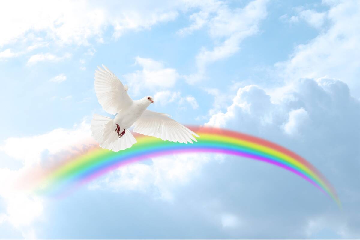 dove-ga15915de8_1920