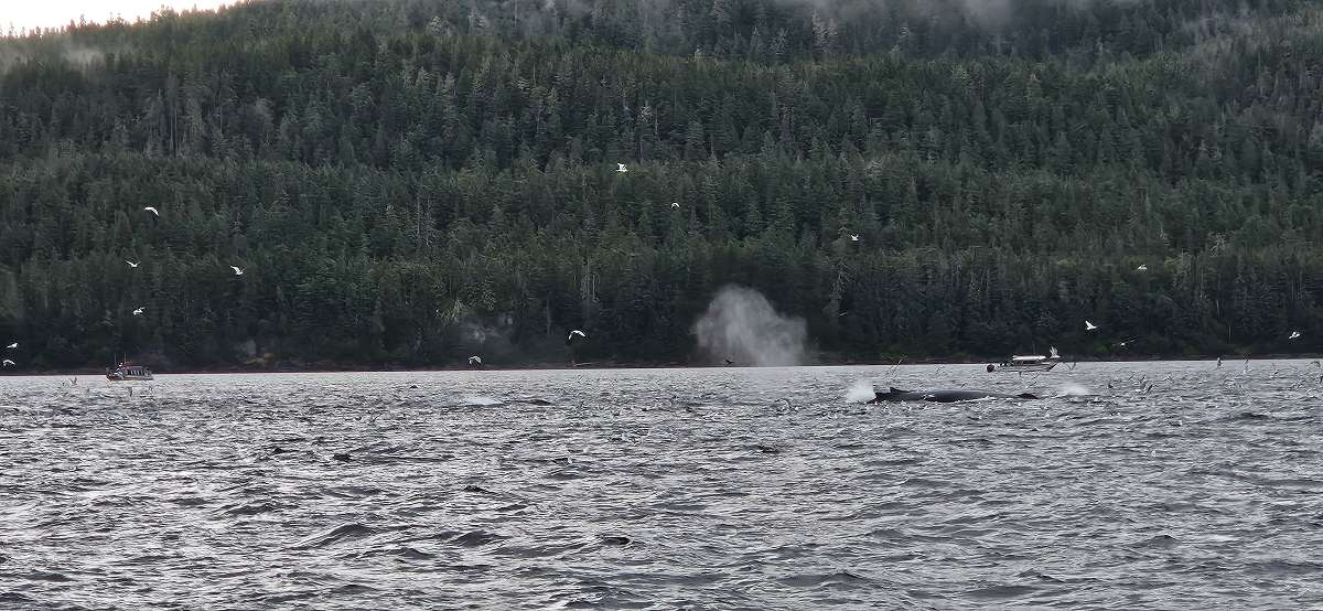 Alaska 2